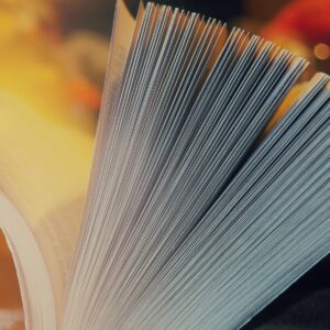 Tout savoir sur les DTU (59.1)